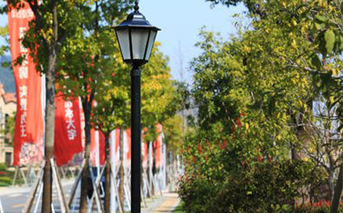 装阿瓦提庭院灯避坑指南:庭院路灯防雷接地要点 装阿瓦提庭院灯避坑指南:庭院路灯防雷接地要点